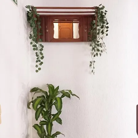 Do Sol House Albergue