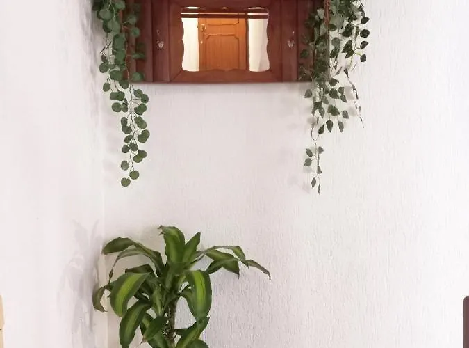 Do Sol House Hostel